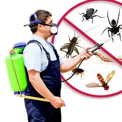pest control Columbia Falls
